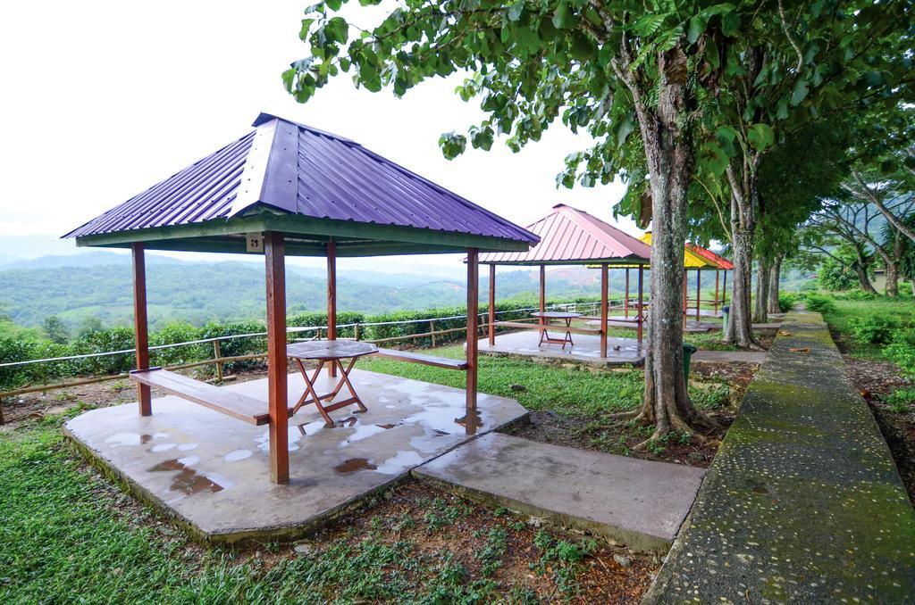 Sabah Tea Resort Ranau Exteriör bild