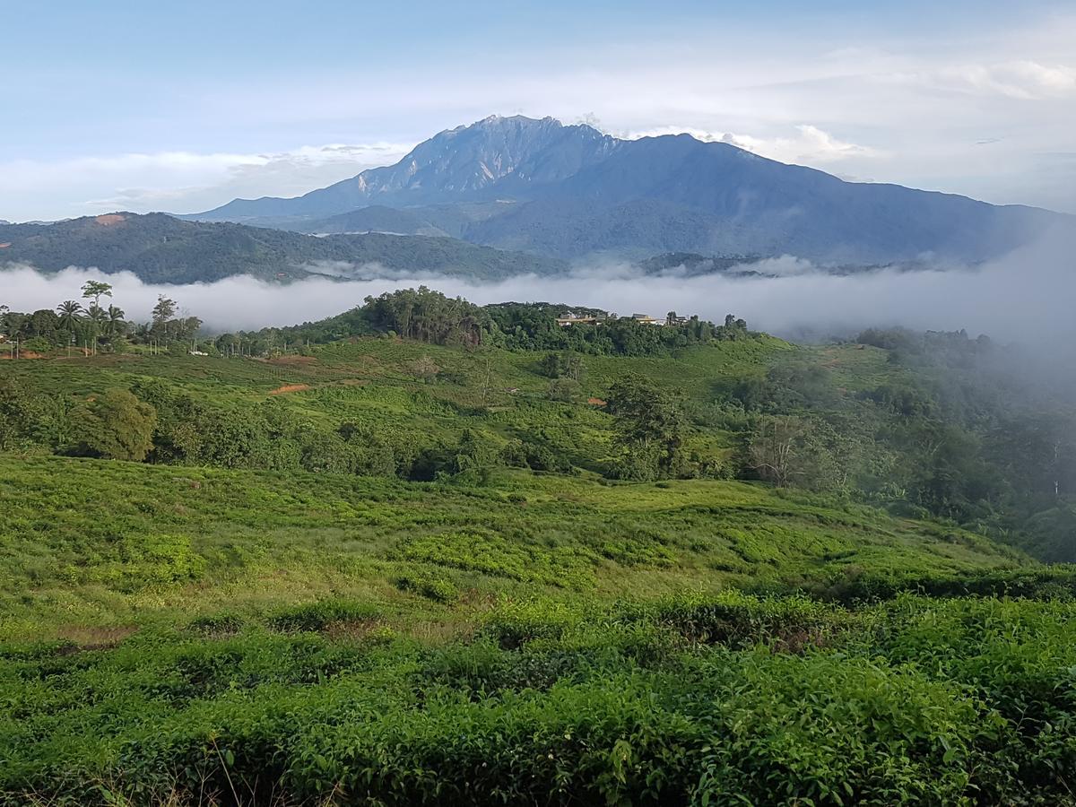 Sabah Tea Resort Ranau Exteriör bild