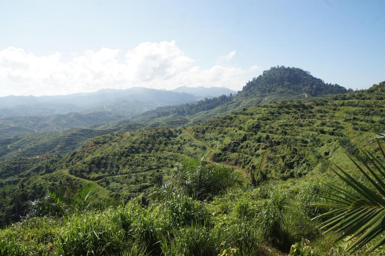 Sabah Tea Resort Ranau Exteriör bild